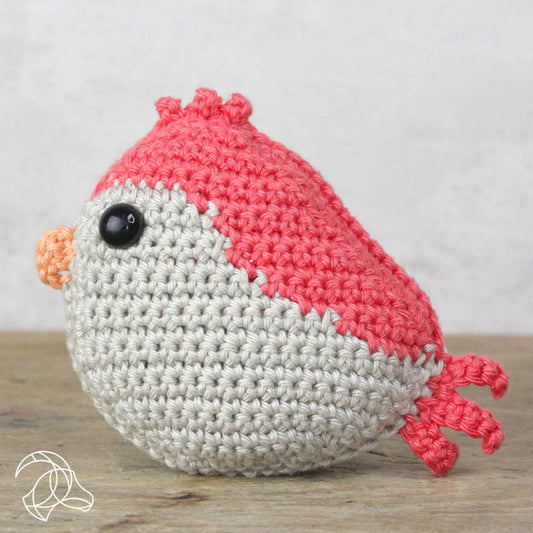 DIY Crochet Kit - Red Bird Handicraft